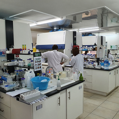 Inside Labs